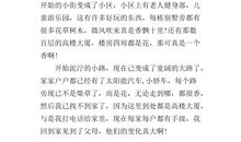 20年后的家乡作文400字