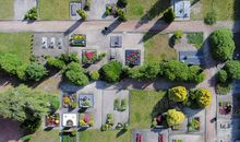 习作：《虫子的村落》