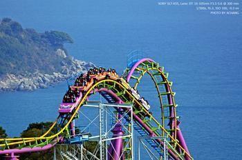 海洋公园评论组成