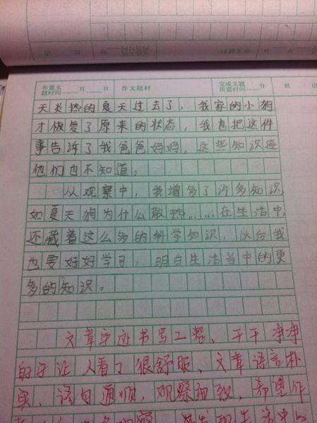 15年后我的作文