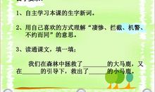 马鹿有情读后感