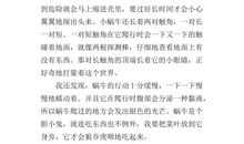 蚂蚁的启示作文200字