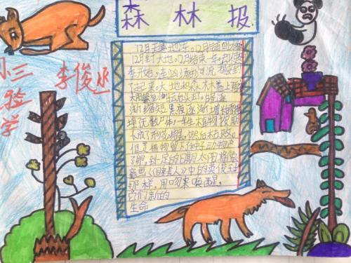 阅读400字后的森林报春花