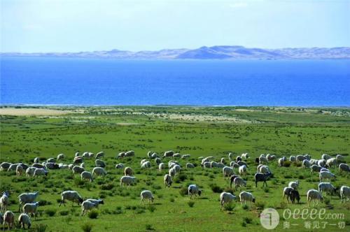 如何在遥远的城市找到工作
