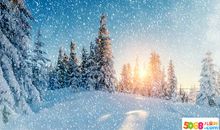 冬天景色作文500字