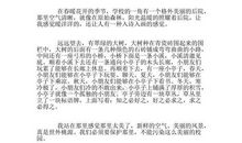 校园一角作文250字