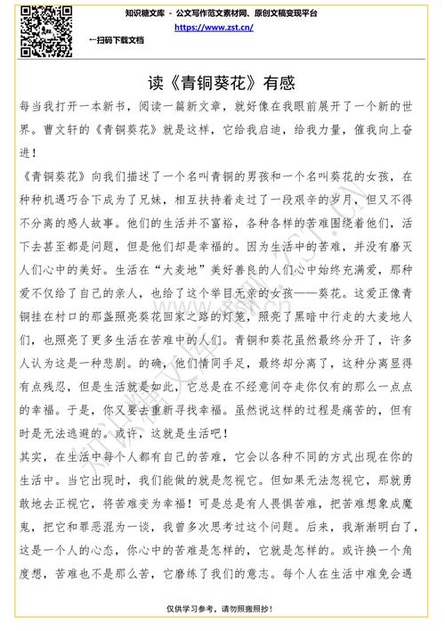 关于“青铜向日葵”的思考