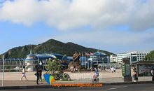 老虎滩海洋公园作文