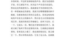 假期里的一件事作文500字