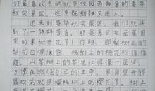 校园一角作文400字