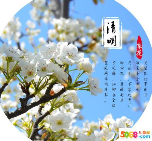 以清明为主题的作文