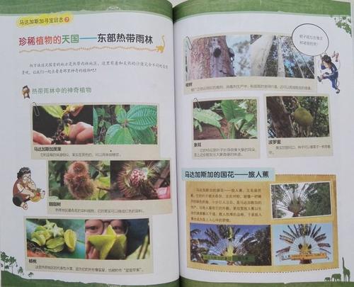 关于阅读《荒野求生》的思考