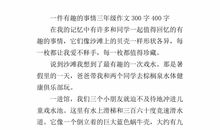 一件有趣事作文