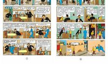 《丁丁在刚果》读后感