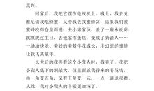 一件艺术品作文300字