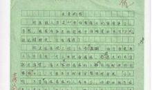 未来的我作文250字