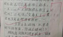 他真棒作文400字