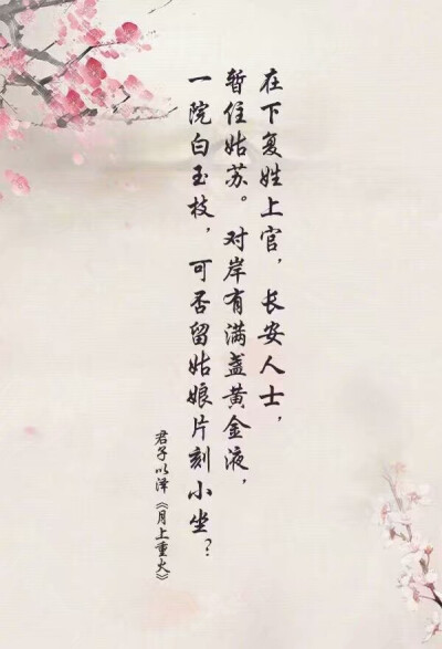 天来纸风筝经典语录