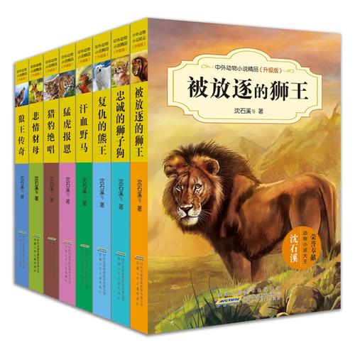 沉世xi小说的思考