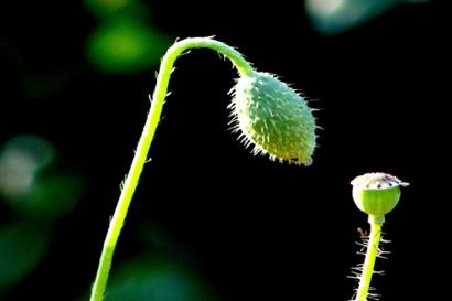 工作场所：学会鞠躬以取得成功