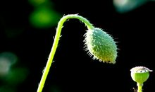 职场：学会低头才能出头