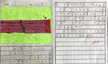 初中春季运动会作文