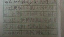 快乐的星期天作文500字