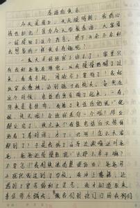 春季旅行日记300字