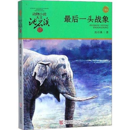 读《向京》后的感想