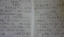 快乐的星期天作文