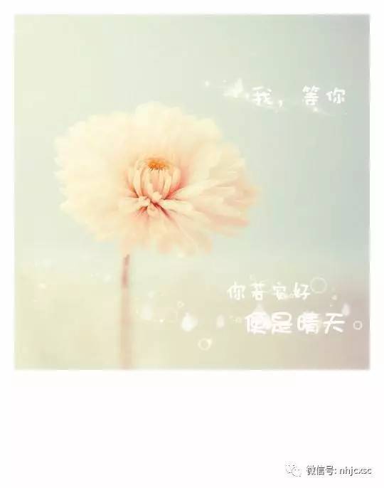 如果您感觉良好，那么在晴天阅读后您会感觉到1,000个单词