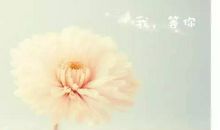 你若安好便是晴天读后感1000字