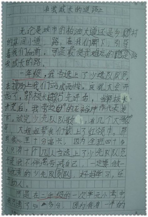 关于成长成分的600字