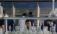 雷锋观后感300字