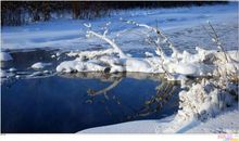 我爱家乡的冬天