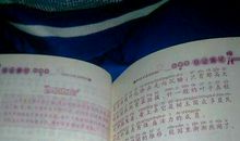 家乡的景物100字