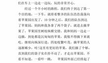 一次愉快的假日作文