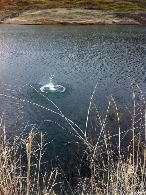 十年后的家乡变化