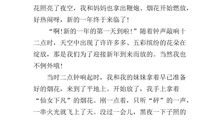 除夕之夜作文600字