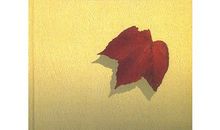 一片树叶读后感