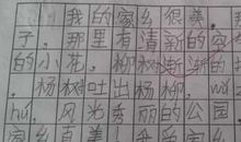 一条鱼眼中的海作文