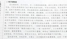 冲刺中考的日子作文