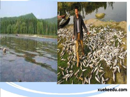 家乡的环境变化