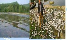 家乡的环境变化