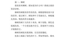 家乡的柳树作文