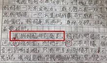 我的母亲初二作文