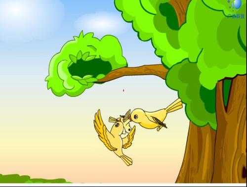 我想成为一只鸟