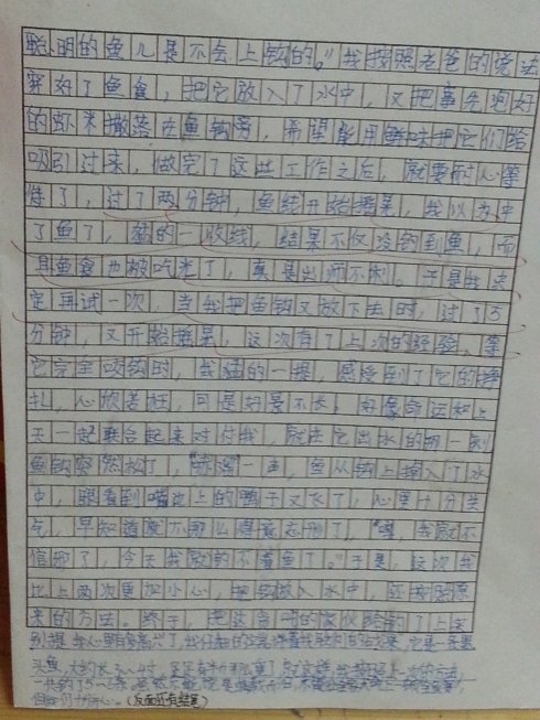 一年级钓鱼论文