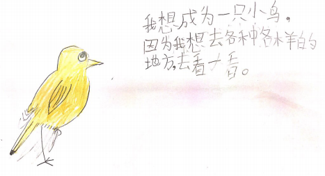 我想成为一只鸟