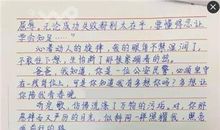 小学作文过新年